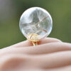 Bubble Glass Garden Rings