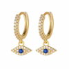 Eye of Elegance Earrings